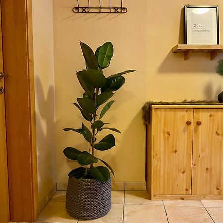 Appartement Auwald Forstau  Ngoại thất bức ảnh