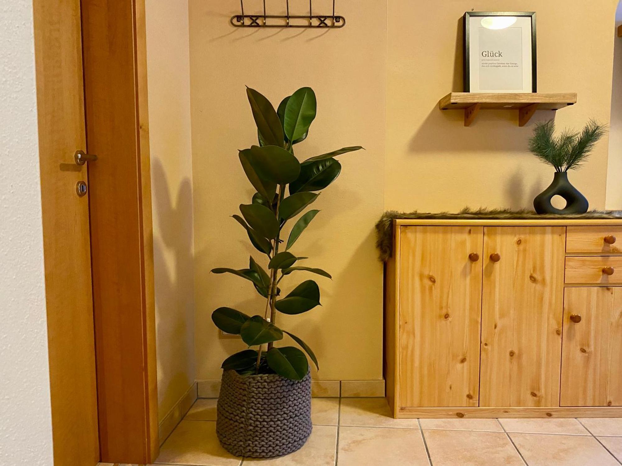 Appartement Auwald Forstau  Ngoại thất bức ảnh